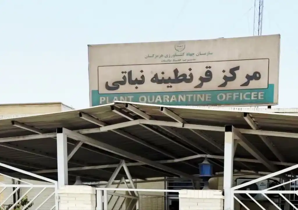 پایداری عملکرد مراکز قرنطینه گیاهی هرمزگان با ثبت صادرات بیش از یک میلیون و ۷۰۰ هزار تن محصول کشاورزی