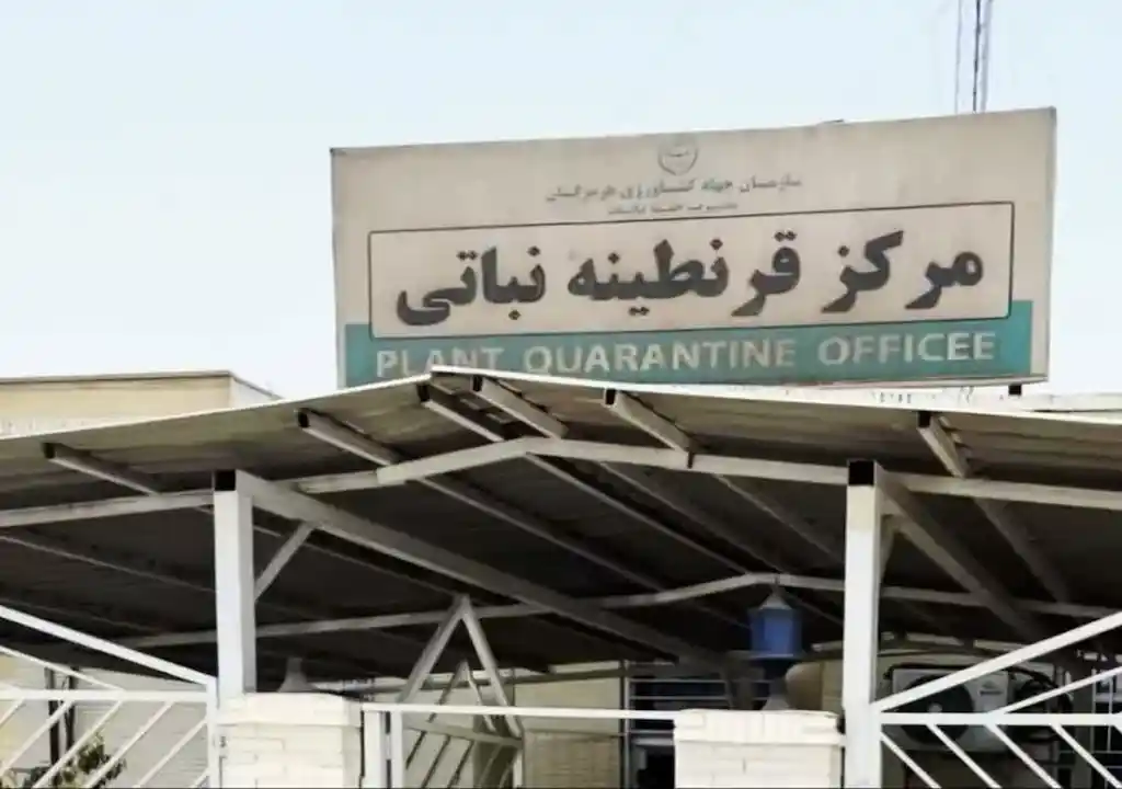 صادرات بیش از ۵۵۸ هزار تن محصولات کشاورزی از هرمزگان در شش ماه